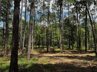33.5 Acres Garrett Rd, Folsom, LA 70437