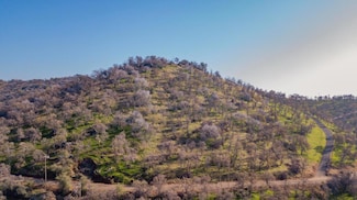 0 Cardinal Ln Unit 619876, Squaw Valley, CA 93675