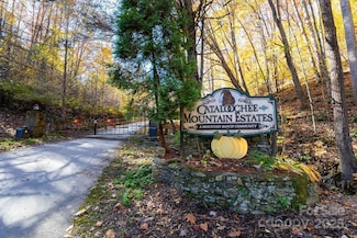 TBD Appaloosa Trail, Waynesville, NC 28785