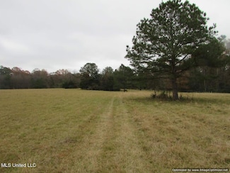 0 Old Rice Rd Unit 4099827, Canton, MS 39046