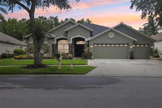 19410 French Lace Dr, Lutz, FL 33558