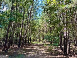 0 Georgia 19, Lumber City, GA 31549