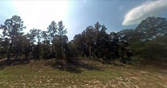 0 SE 129th Ct Unit MFRO6108390, Dunnellon, FL 34431