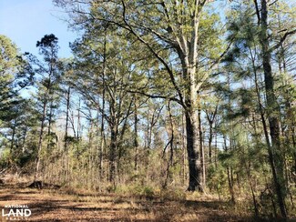 000 County Road 35, Midway, AL 36053