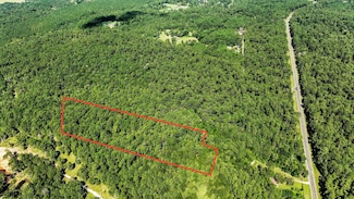 Tbd Shephard Ln, Coldspring, TX 77351