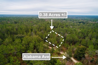 238 Alabama Ave, Hawthorne, FL 32640