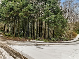 0 X Lyons Ln, Aberdeen, WA 98520