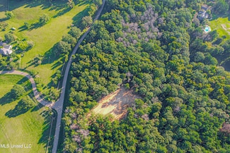 0 Mount Leopard Rd, Flora, MS 39071