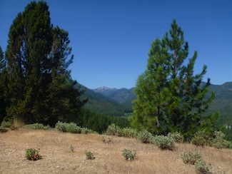 0000 S Kidder Creek Rd, Greenview, CA 96037