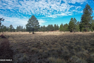 4540 Forrest Ranches Loop, Parks, AZ 86018