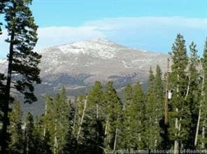 452 Bobcat Ln, Fairplay, CO 80440