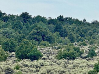 Lot 38 Wildhorse Dr, San Luis, CO 81152