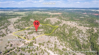 26666 Winchester Rd, Custer, SD 57730