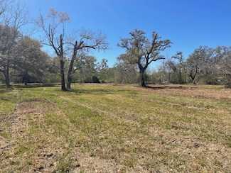 3531 County Road 348, Brazoria, TX 77422