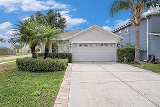 3319 Thistledown Ln, Land O Lakes, FL 34638