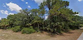 14310 Dunlap Ave, Port Charlotte, FL 33953