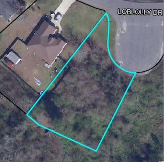 1402 Loblolly Dr, Manning, SC 29102