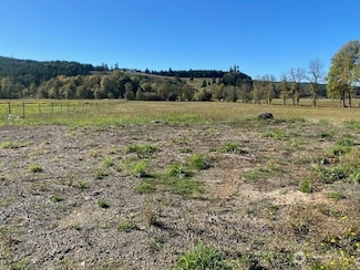 955 Pleasant Valley Rd, Chehalis, WA 98522