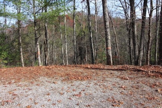 119 Taylors Ridge Rd, Walland, TN 37886