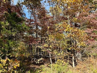 000 Private Road 5-200, Gainesville, MO 65655