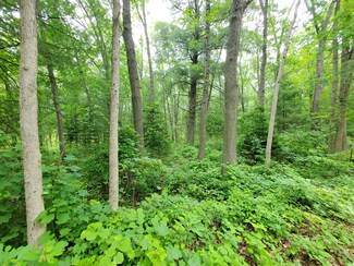 0 W 110th Ave, Pullman, MI 49450