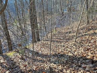 0 Libbies Ln Unit 6, Waynesville, NC 28786