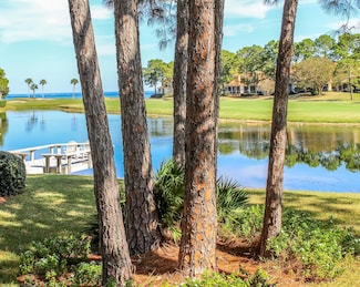 176 Cove Dr, Miramar Beach, FL 32550