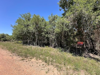 258 Kahana Ln, Bastrop, TX 78602