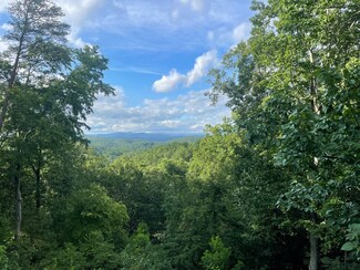 1071 Mayfield Ln NE, Ranger, GA 30734