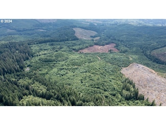 0 Saddle Mountain Rd, Seaside, OR 97138