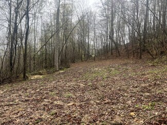 4813 Brammer Hill Ridge Rd, Monticello, KY 42633