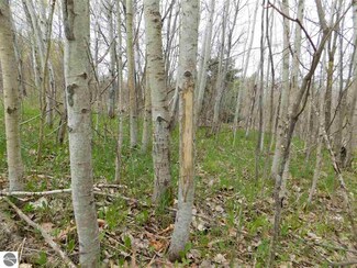94 ACRES Henderson Lake Dr, Prescott, MI 48756