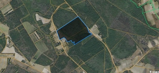 TBD Fifteen Mile Bay Rd, Nichols, SC 29581