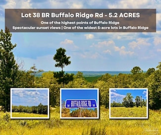 Lot 38 BR Buffalo Ridge Rd, Pace, FL 32571