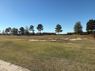 136 Pinewood Cove, Snow Hill, NC 28580