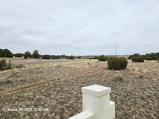 LOT 176 Windsor Valley Ranch, Concho, AZ 85924