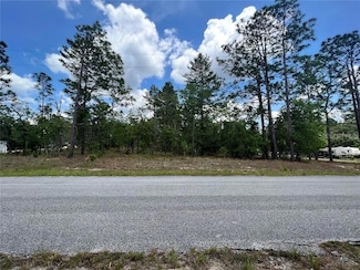 TBD SE 129th Ct, Dunnellon, FL 34431