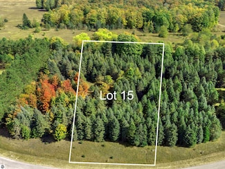 Lot 15 Lipp Farm Rd, Benzonia Township, MI 49616