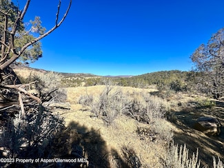 TBD Cactus Park Rd, Cedaredge, CO 81413
