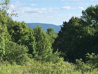 00 Castle Mountain Rd, Stamford, NY 12167