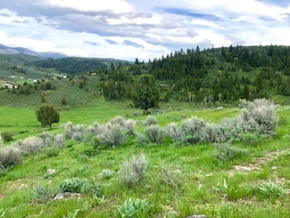 Lot 3 Angileen's Way, Lava Hot Springs, ID 83246
