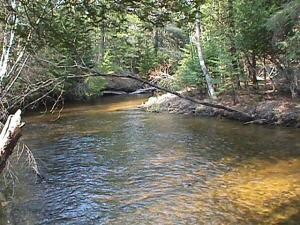 0 Cecil Bay Rd Unit 10 ACRES 275309, Carp Lake, MI 49718