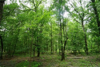 00 Barnes Rd, Montgomery, AL 36064