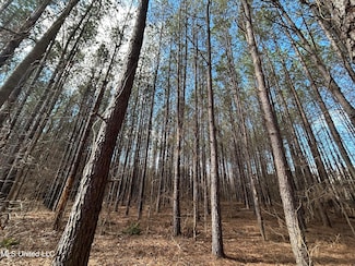 0 County Road 82, Coffeeville, MS 38922