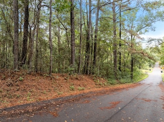 0 Rev R Powe Rd, Wiggins, MS 39577