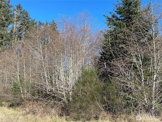 23800 Next to Elm Place, Ocean Park, WA 98640