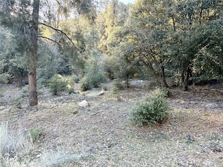 15718 Plum Way, Pine Mountain Club, CA 93225