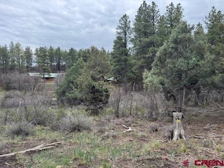 512 & 564 Jack Rabbit Rd, Pagosa Springs, CO 81147