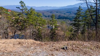 Lot 10 Bg Fox View Rd, Sevierville, TN 37876