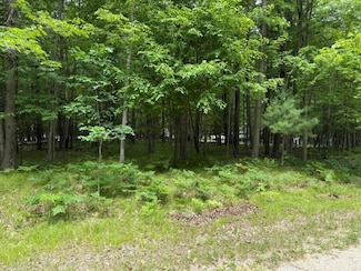 6823 Beechnut Ridge, Canadian Lakes, MI 49346